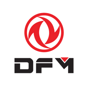 DFM